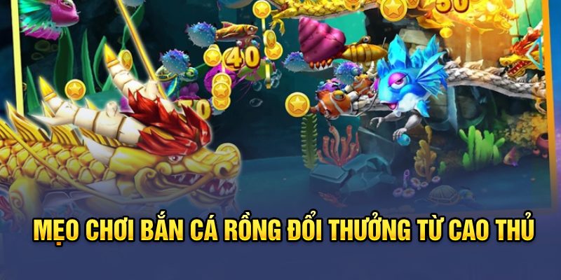 Mẹo chơi bắn cá rồng đổi thưởng từ cao thủ