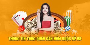 Thông tin tổng quan cần nắm được về V8